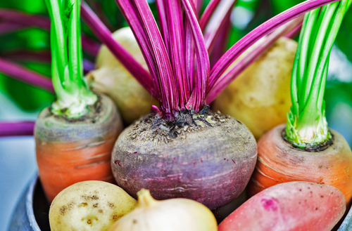 Nya kostråd: Minska på köttet och ät miljövänligt